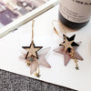 Image of Korean Style Stars Earrings